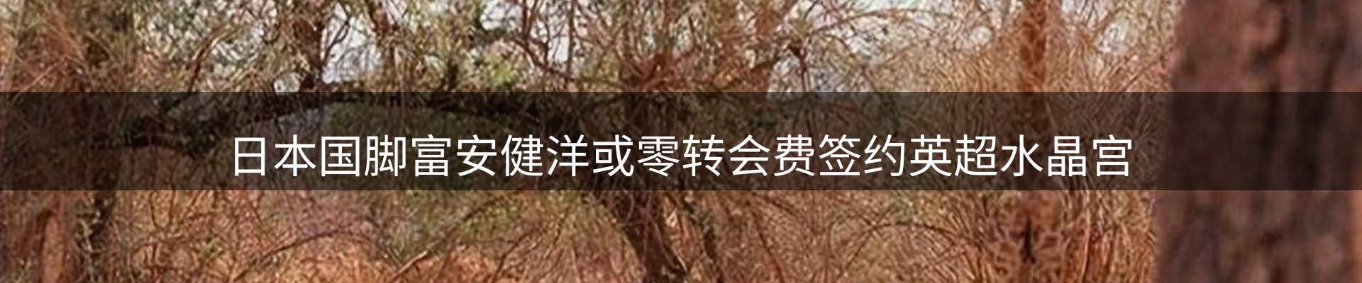 平台资讯